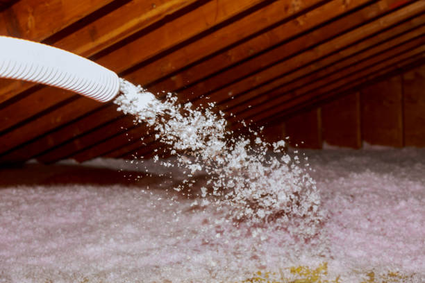 Best Insulation Maintenance and Repair in Mccamey, TX
