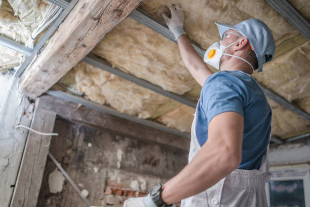Best Types of Insulation in Mccamey, TX